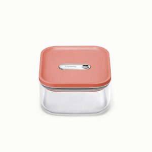 Small Glass Airtight Container Non-Toxic & BPA-Free Perracotta
