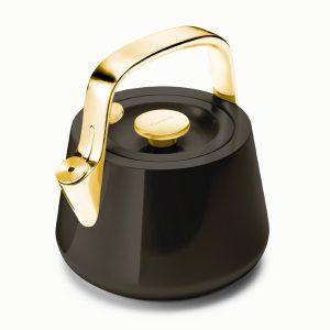 Non Toxic Tea Kettle for Stovetop Stainless Steel Kettle Black