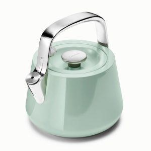Non Toxic Tea Kettle for Stovetop Stainless Steel Kettle Mist