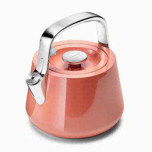 Non Toxic Tea Kettle for Stovetop Stainless Steel Kettle Perracotta